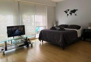 Cozy Studio in Palermo Soho with security 24 hs - Buenos Aires - 6