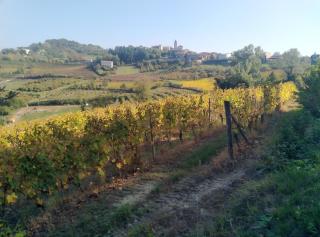 Casa Doris - Montabone - 4