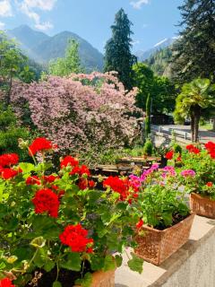 Tannerhof Bed & Breakfast - Caines - 7
