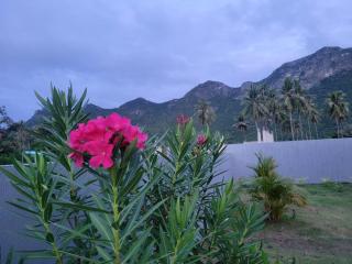 บ้านชายเขาพลูวิลล่า by RC Mountain Pool Villa - Ban Phu Yai - 7