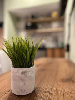 Inmueble cerca al estadio NID204 By Roots Rentals - 2