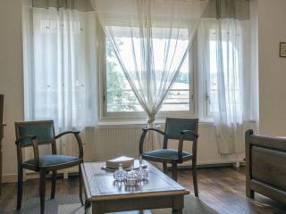 Gîte pour 12 face au château de Thillombois avec jardin, cheminée et équipements PMR - FR-1-585-38 - 9