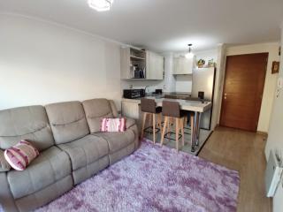 Departamento Central 2 habitaciones, 1 cuadra de la Playa - Villarrica - 0
