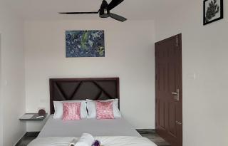 Dune Homestay - Alappuzha - 6