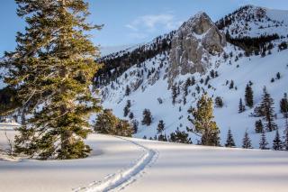 Snowcreek 56 - Mammoth Lakes - 1