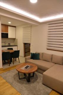 Apartman Force Zlatibor - Zlatibor - 9