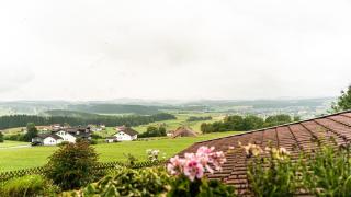 Hotel "Haus am Berg" - Rinchnach - 4