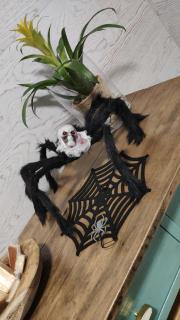 ALOJAMIENTO MIRABUENOS - 9