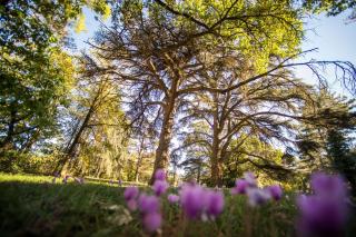 Best Western Premier Le Domaine de Montjoie - Ramonville-Saint-Agne - 7