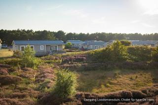Camping Loodsmansduin - Den Hoorn - 1