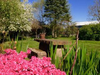 La Maison d'Amélie - 1