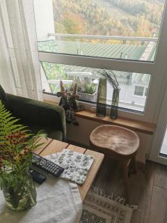 HEARTH HILL VIEW APARTMENT - Ustroń - 8