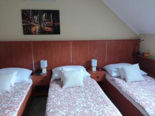 Club Haus 502 Kalocsa - Kalocsa - 2