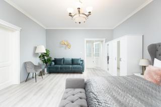 Luxury Central 150m2 Apartment on Wencelas Square with Private Garage - Prague - 7