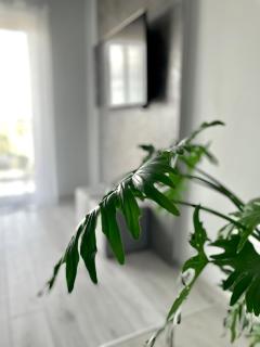 Ach, To Tu- Apartament Łańcut - Łańcut - 4