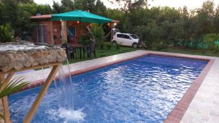 LAS ORQUIDEAS - Rozo - 5