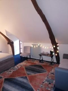 Chambre Cosy nature avec Grand Salon, wifi, salle de bain, parking - La Roche-Posay - 6