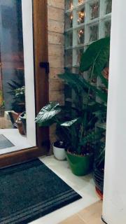 Boutique Suite 3 - 2