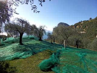 Casetta delle olive - Tremosine sul Garda - 9
