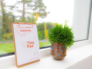 Tiny Fox Kluisbos - 6