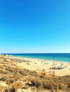 Tropicana One bedroom flat t1 in Albufeira Gale close to 8 beaches - Albufeira - 7
