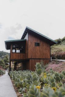 Lauraceas Lodge - San Gerardo de Dota - 0