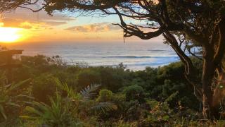Ocean Paradise - 1