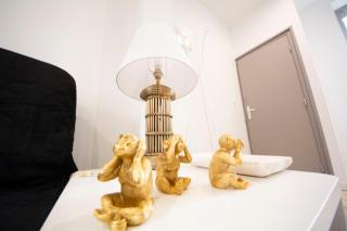 IVOIRIA !!! SUBLIME Studio HOME STAGING AU CENTRE VILLE !!! - Saint-Quentin - 6