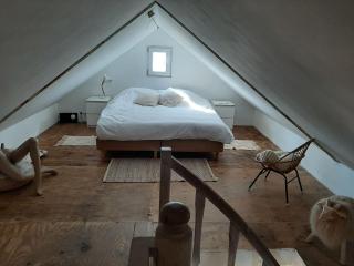 Atelier house with hot tub - Sleen - 3