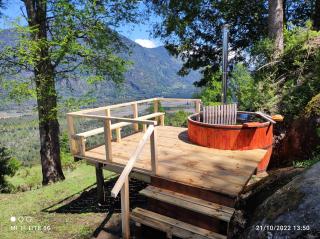 cabaña vista nilahue - 8