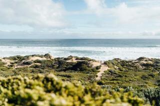 Birdsong Hideaway - Saint Andrews Beach - 8