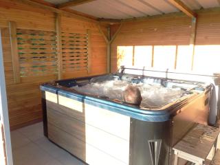 Roulotte accès privatif spa - Pauilhac - 2