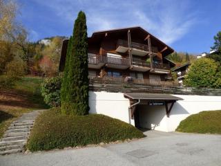 Studio cosy avec balcon, arrêt navette à 50m - FR-1-458-100 - Le Grand-Bornand - 6
