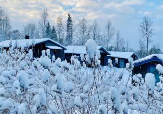 StugaNäraKungsberget - mysig stuga med kamin, grillkåta och vedbastu - Ockelbo - 7