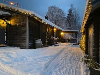 StugaNäraKungsberget - mysig stuga med kamin, grillkåta och vedbastu - Ockelbo - 5