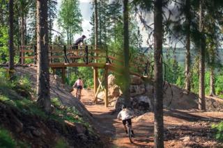 StugaNäraKungsberget - mysig stuga med kamin, grillkåta och vedbastu - Ockelbo - 4