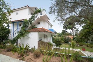 Villa ALEXIS - Koukounaries - 6