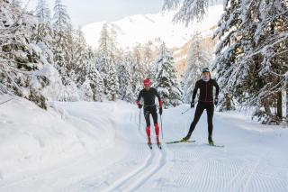 Aktiv- und Wellnesshotel Traube- Post - 3