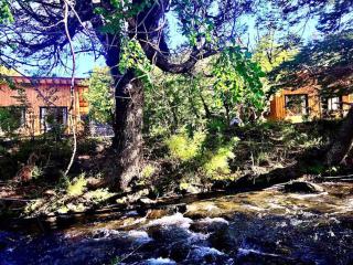 Kingfisher de los Andes - 1