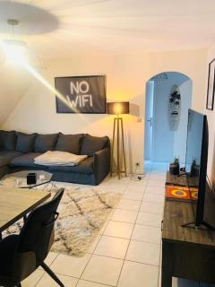 Charmant appartement 2 pièces Mundolsheim - Mundolsheim - 9