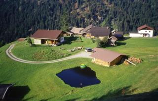 Berghütte Graslehn - Jerzens - 8