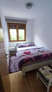 Apartman Jeca Zlatibor - Zlatibor - 2