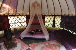 Camping Mille Étoiles - Labastide-de-Virac - 6