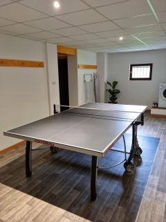 Grande villa avec jardin privatif - Bagnères de Luchon - Juzet-de-Luchon - 8