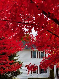Williston Village Inn - Burlington - 7