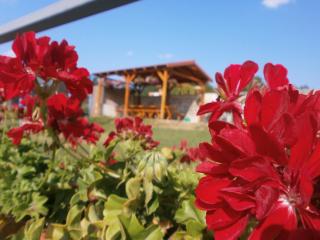 Penzion Fortuna Dudince - 4