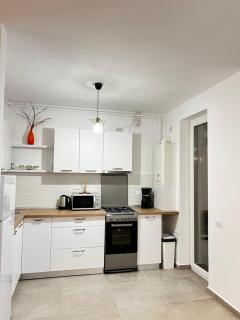 Apartment Mara 1 - Timişoara - 4