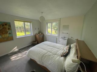 Secluded 3 bed cottage in private parkland - Brockenhurst - 7