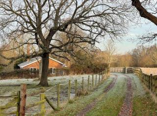 Secluded 3 bed cottage in private parkland - Brockenhurst - 3