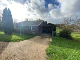 Secluded 3 bed cottage in private parkland - Brockenhurst - 2